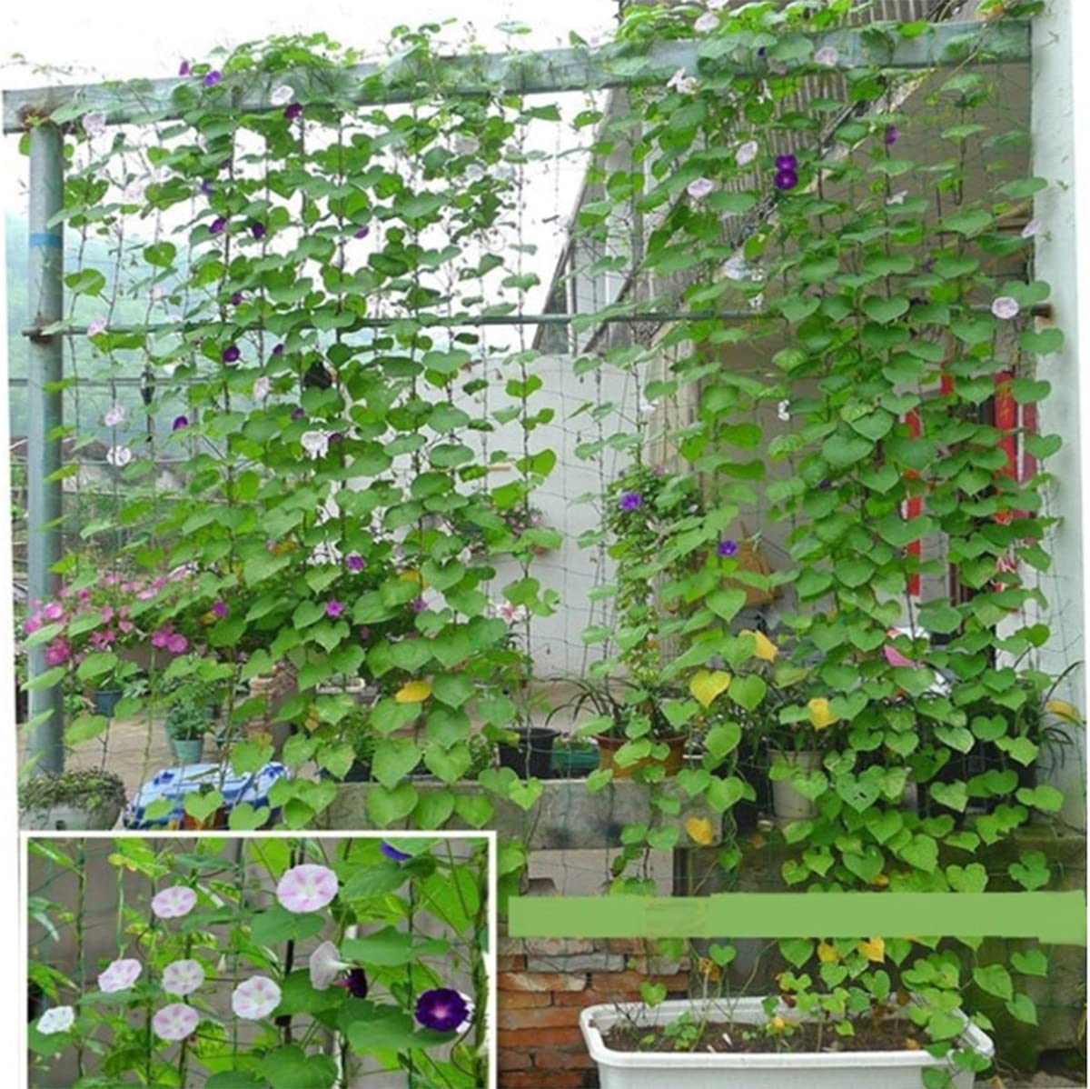 Amazon.co.jp: つるものネット つる栽培ネット 1.8m×2.7m つる植物用